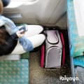 Miniatyrbild 9 av 11: 5-i-1 hund-/kattvagn med bärsele Välj färg: blå