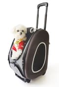 Miniatyrbild 10 av 11: 5-i-1 hund-/kattvagn med bärsele Välj färg: blå