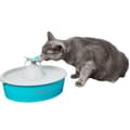 Miniatyrbillede 2 af 6: Kæledyrsfontæne - PETSAFE - Drinkwell Papillon - 1,5 L - Blå og Grå - Indendørs