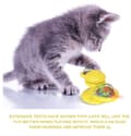 Miniatyrbild 4 av 11: Väderkvarn Leksaker för katter Pussel virvlande skivspelare med borste Katt Spela spel Catnip Toy Kitten Interactive