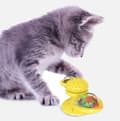 Miniatyrbild 8 av 11: Väderkvarn Leksaker för katter Pussel virvlande skivspelare med borste Katt Spela spel Catnip Toy Kitten Interactive