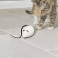 Miniatyrbillede 2 af 6: FroliCat automatisk kattelegetøj RoloRat