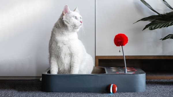 INF Labyrint- och brädspel för katter