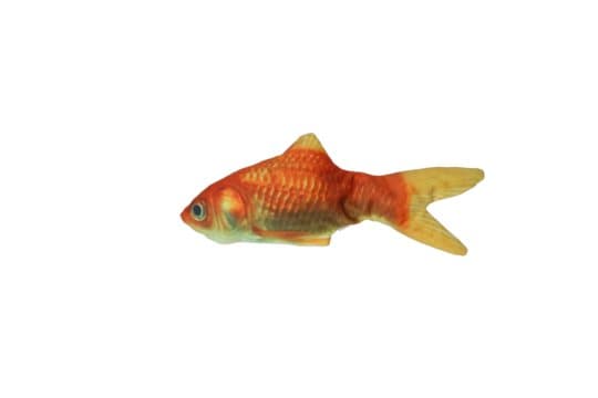 Robocat Goldfish - Ensimmäinen kultakala, joka todella herää henkiin ja joka on myös lelu kissalle!