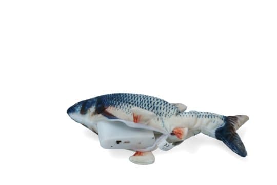 Robocat Carp - Ensimmäinen karppi, joka todella herää henkiin, ja myös kissan leluna!
