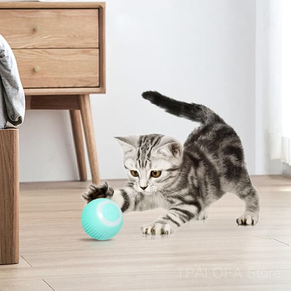 Lekeball for katt, oppladbar - turkis