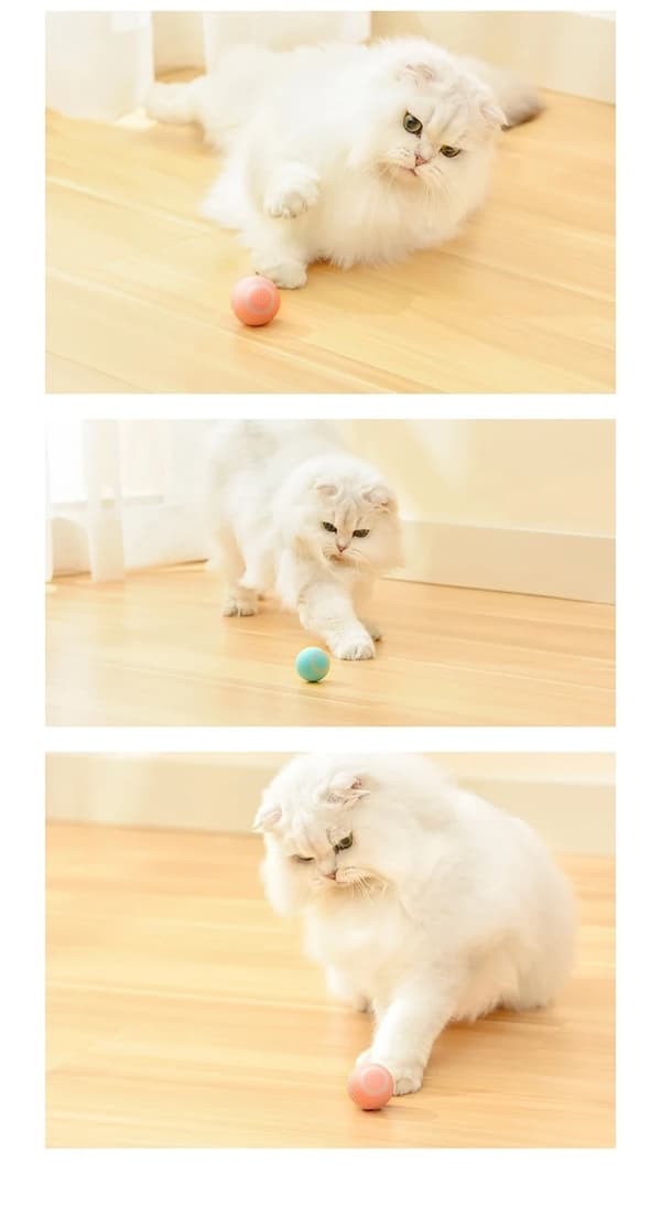 Cat Toy - Aktivering av rörlig boll / Boltrörelser för katt