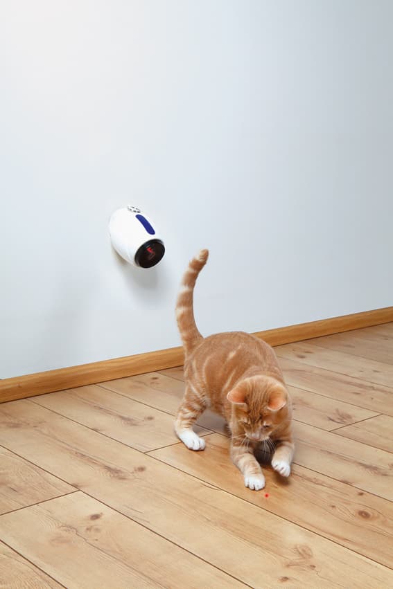 Automatisk Laserpekare Katt () Automatisk Laserpekare Katt