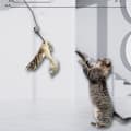 Miniatyrbilde 4 av 8: INF Interaktiv Cat fjær teaser tryllestav leketøy katt fjær leketøy med sugekopp