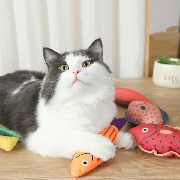 INF Pet Chew Toy, interaktiva kattkickerleksaker för inomhuskattunge för att lindra tristess
