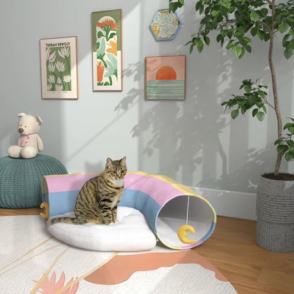 Rootz Cat Tunnel - Kissanlelu - 2 Lelua - 1 Lepotuoli - Leikkisä muotoilu - Monivärinen - 105cm x 65cm x 28cm