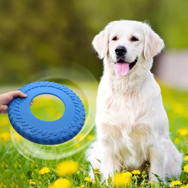 INF Koiran frisbee - TPR-materiaali interaktiiviseen leikkiin