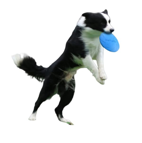 INF Flyvende Frisbee Til Hundetrening