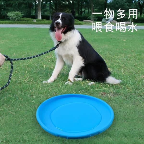 INF Flyvende Frisbee Til Hundetrening