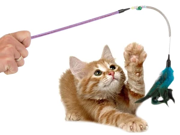 Kattleksak på Pinne - Fjäder & Bjällra - Leksak för Katt