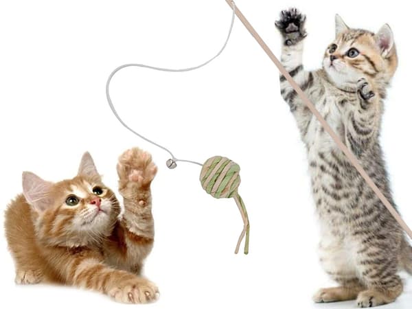 Katteleke på Pinne - Ball & Bjelle - Leke for Katter
