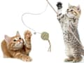 Miniatyrbilde 6 av 10: Katteleke på Pinne - Ball & Bjelle - Leke for Katter