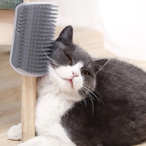 Kissanharja Kissanminttulokerolla / Cat Nip - Itsehoitoa kissalle
