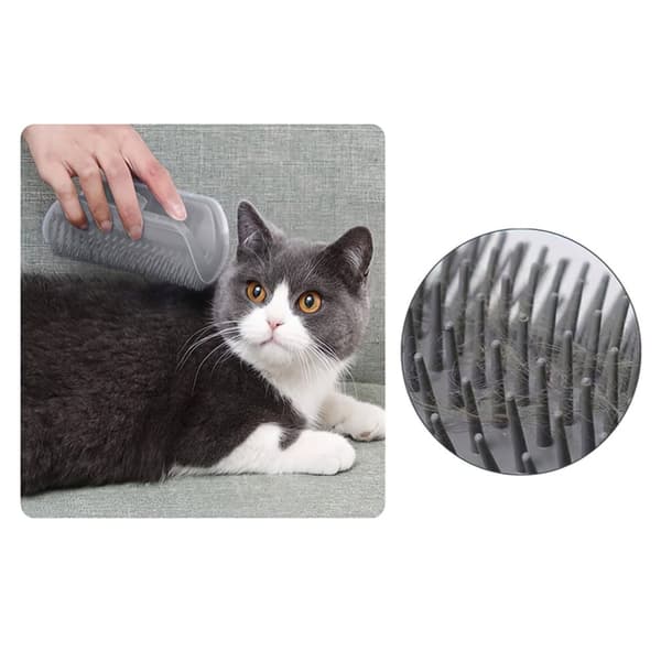 Kissanharja Kissanminttulokerolla / Cat Nip - Itsehoitoa kissalle
