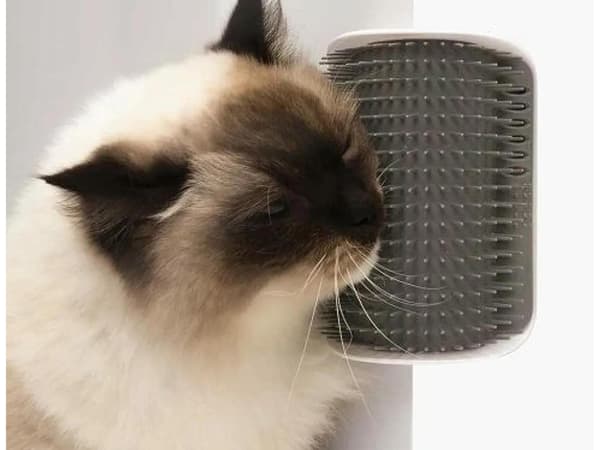 Kissanharja Kissanminttulokerolla / Cat Nip - Itsehoitoa kissalle