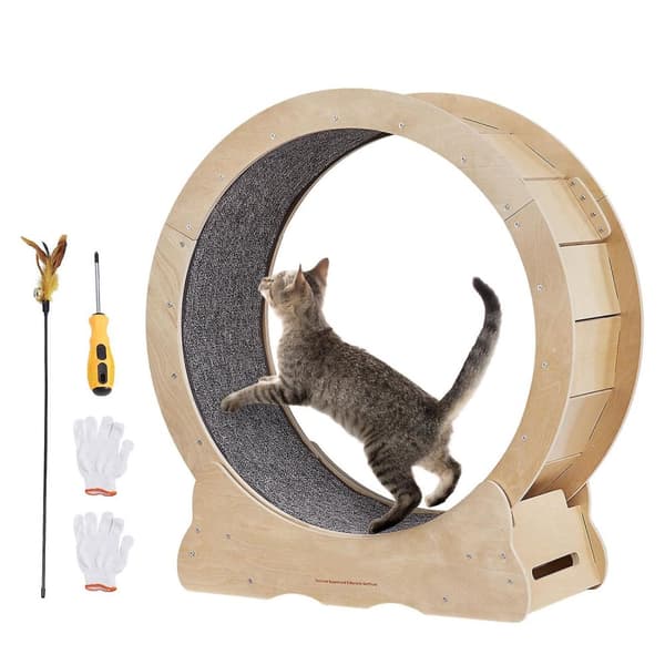 29.5" ytterdiameter mångsidigt katt träningshjul för de flesta katter, hållbar och säker, låg ljudnivå
