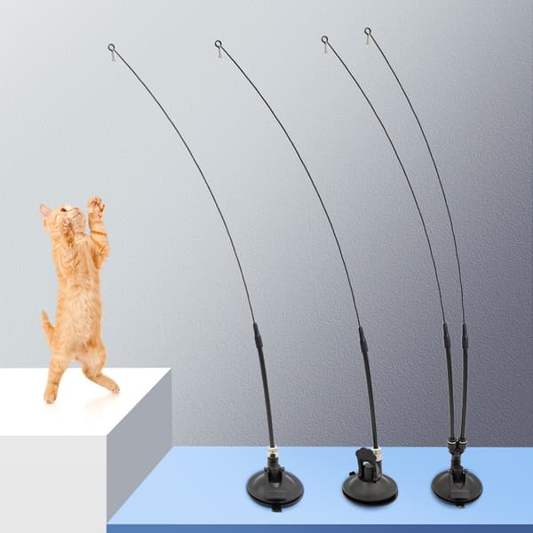 INF Cat Teaser Standard Model 1