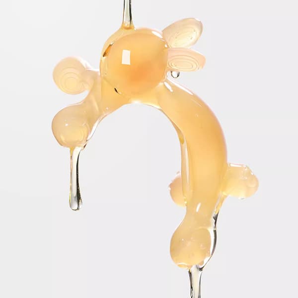 INF Lemmikkien purulelu säilytyslaatikolla - Bunny Design