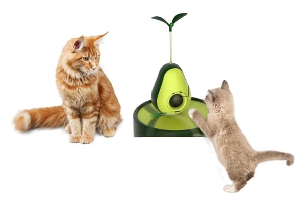 Kattleksak med kattmyntabollar