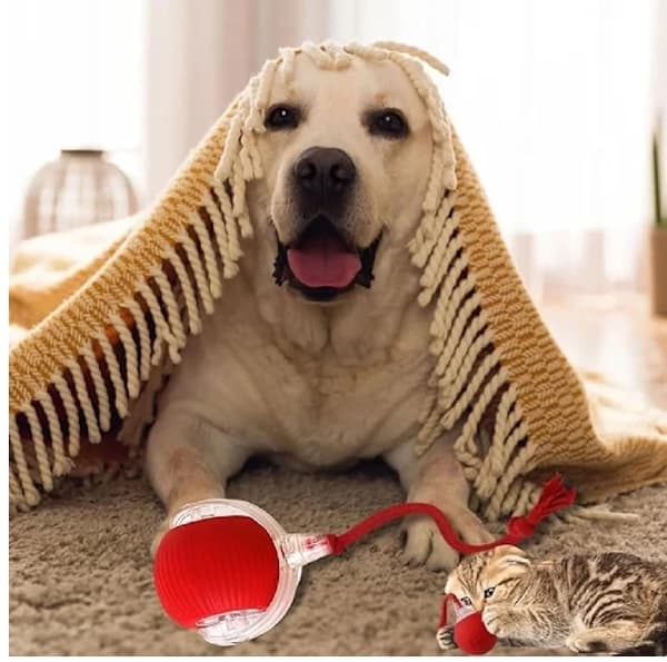Jump ball, Rullebold, Tyggebold til hunde og katte Tyggebold til hunde, Interaktivt hunde-smart-boldlegetøj, interaktivt kattelegetøj, 360° Smart