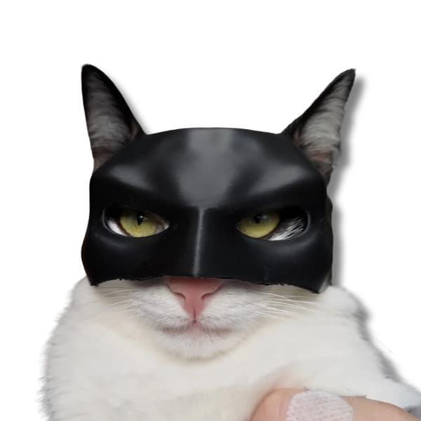 BatCat Batman kissanaamio PawSmart Dark Knight