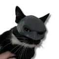 Pikkukuva 4 / 5: BatCat Batman kissanaamio PawSmart Dark Knight