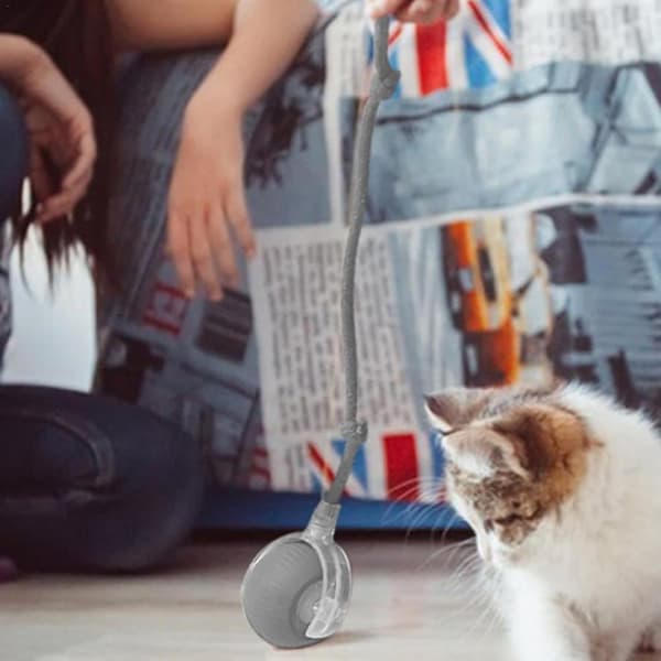 Leksak till Katt och Hundar , Interaktiv Kattleksak, Interaktiv Hund Smart Boll Leksak- Boll som rör sig-Auto-Rolling