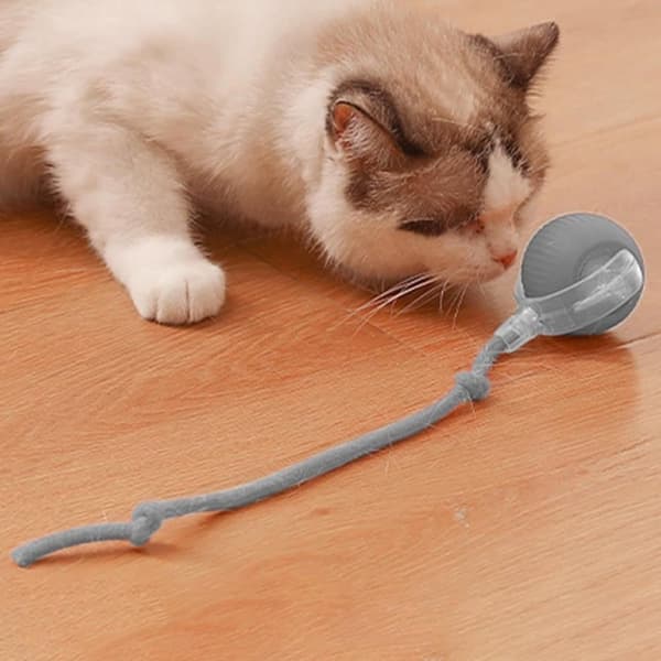 Leksak till Katt och Hundar , Interaktiv Kattleksak, Interaktiv Hund Smart Boll Leksak- Boll som rör sig-Auto-Rolling