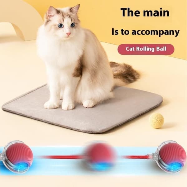 Leksak till Katt och Hundar , Interaktiv Kattleksak, Interaktiv Hund Smart Boll Leksak- Boll som rör sig-Auto-Rolling