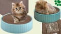 Miniatyrbillede 6 af 9: Kradsestolpemåtte Wave Cat Catnurt Free