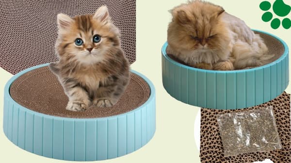Kradsestolpemåtte Wave Cat Catnurt Free