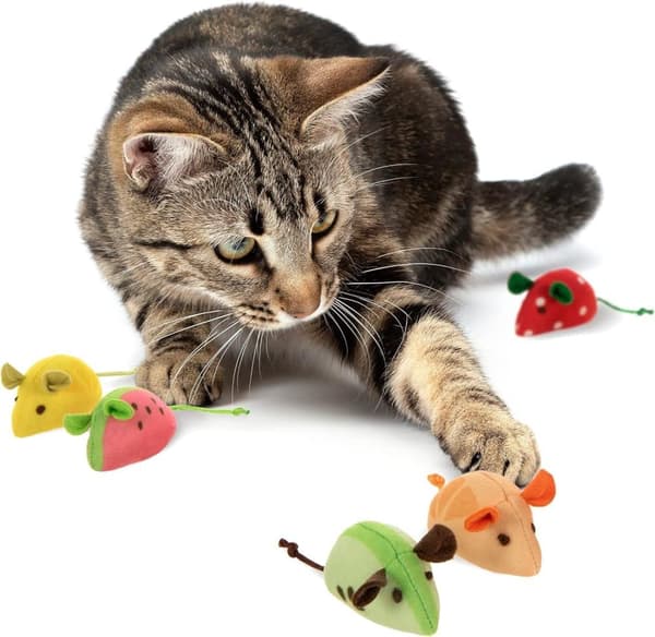 Moorle Soft Cat Mouse med katteurt – Frugtformet legetøj, sjovt og holdbart, perfekt til aktiv leg, Legetøj til kat
