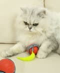 Miniatyrbillede 3 af 5: OBOSOE Rolling Ball til kat og hund – Interaktivt elektrisk legetøj med haler, indendørs leg