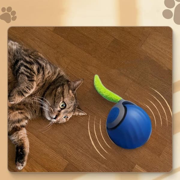 OBOSOE Rolling Ball til kat og hund – Interaktivt elektrisk legetøj med haler, indendørs leg