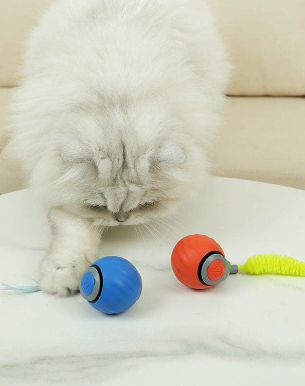 OBOSOE Rolling Ball til kat og hund – Interaktivt elektrisk legetøj med haler, indendørs leg