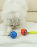 Miniatyrbillede 6 af 8: OBOSOE Rolling Ball til kat og hund – Interaktivt elektrisk legetøj med haler, indendørs leg