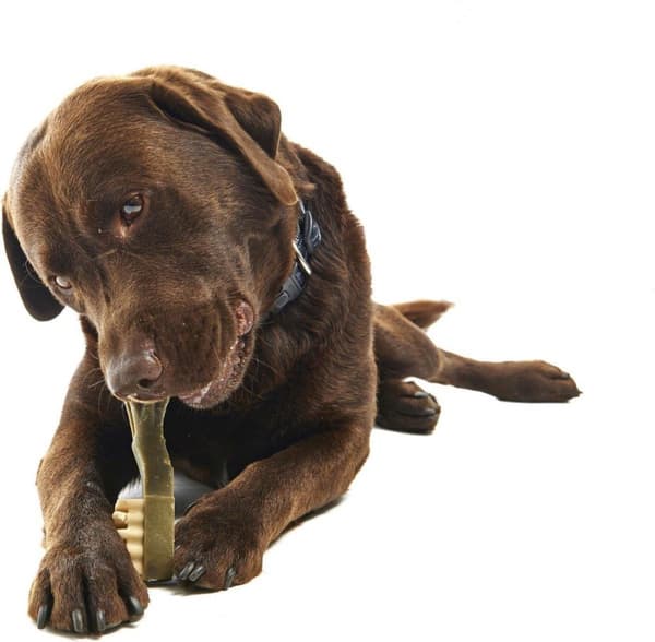 Whimzees Tandbørste Large - Hundesnacks - 6x14,5 cm