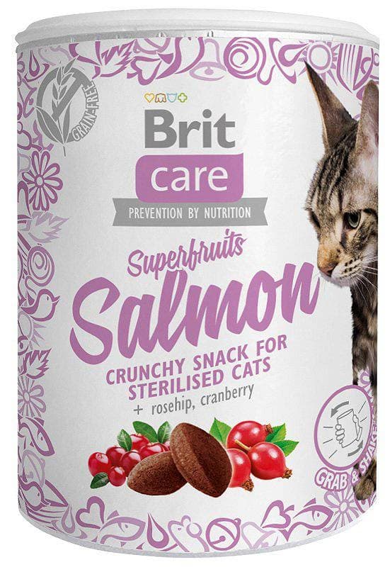 BRIT Care Superfruits Lohi - kissanherkut - 100 g