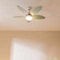 Miniatyrbild 5 av 5: Cecotec 40-W and 42” ceiling fan with DC motor, LED light, remote control, timer, 6 speed settings and 5 reversible blades.