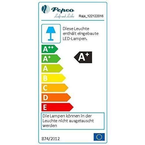 Ultrasnabb Pepeo Low Consumption med Raja 3in1 LED-takfläkt, 122cm - 122122016