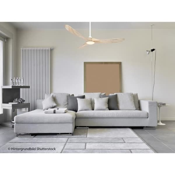 ECO GENUINO L 152, Fläkt med