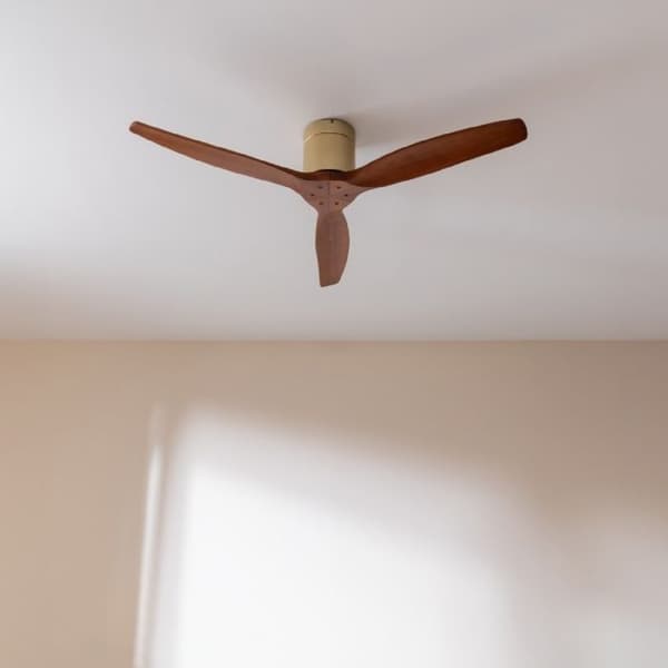 Cecotec Takfläkt utan lampa EnergySilence Aero 5500 Aqua GoldDarkWood Ansluten