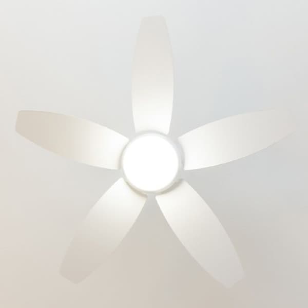 Cecotec Takfläkt med lampa EnergySilence Aero 4200 LightWood