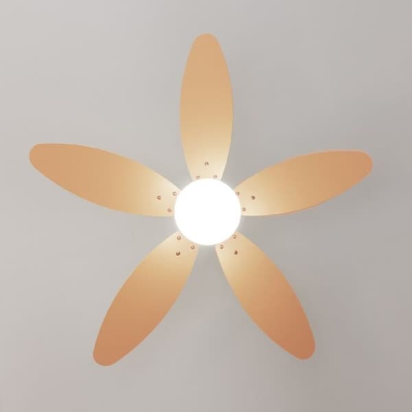 Cecotec Takfläkt med lampa EnergySilence Aero 4260 Full Orange