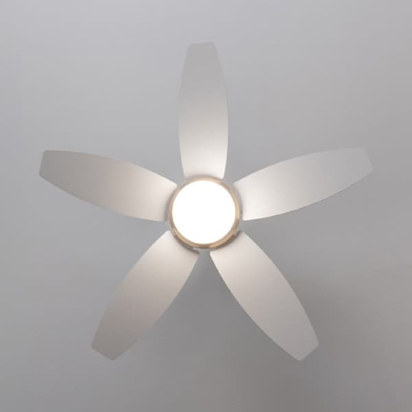 Cecotec Takfläkt med lampa EnergySilence Aero 4200 GoldLightWood